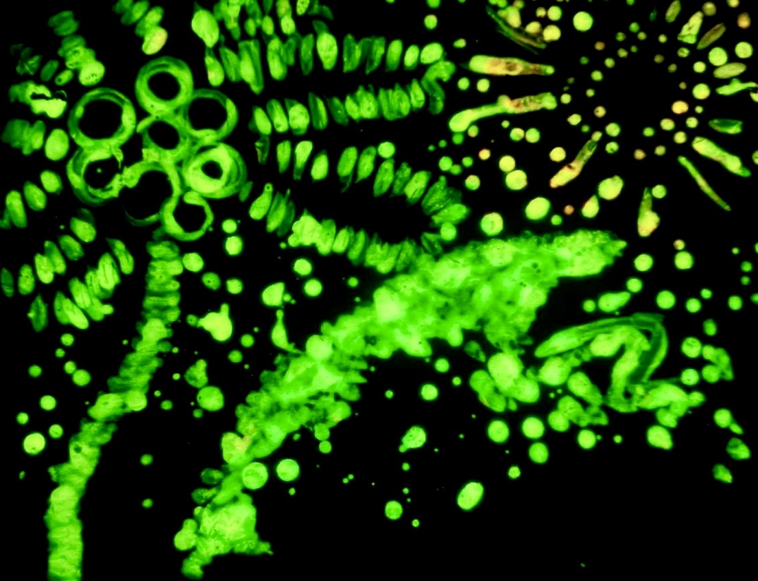 7b833ae8-9b7f-4e56-a368-a4fb9fa467f9